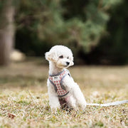 Petora Ham cu lesă ajustabil pentru căței roșu HC1033