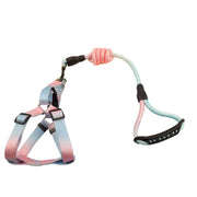 Petora Ham cu lesă ajustabil pentru căței roz-albastru HC1029