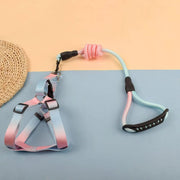 Petora Ham cu lesă ajustabil pentru căței roz-albastru HC1029