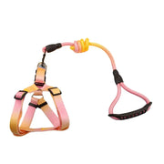 Petora Ham cu lesă ajustabil pentru căței roz-galben HC1029