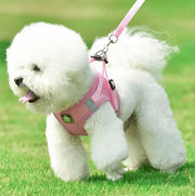 Petora Ham cu lesă ajustabil pentru căței roz HC1021