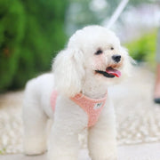 Petora Ham cu lesă ajustabil pentru căței roz HC1023