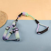 Petora Ham cu lesă ajustabil pentru căței verde-mov HC1029