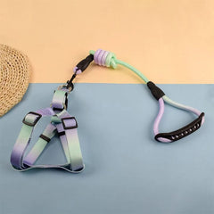 Ham ajustabil cu lesă pentru căței, verde-mov, HC1029