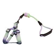 Petora Ham cu lesă ajustabil pentru căței verde-mov HC1029