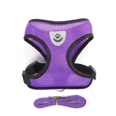 Ham ajustabil cu lesă pentru căței, mov, HC1024