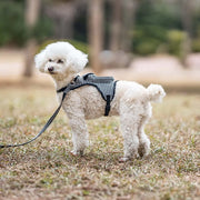 Petora Ham ghiozdănel ajustabil cu lesă pentru căței negru HC1028