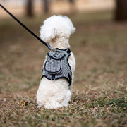 Petora Ham ghiozdănel ajustabil cu lesă pentru căței negru HC1028