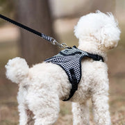 Petora Ham ghiozdănel ajustabil cu lesă pentru căței negru HC1028