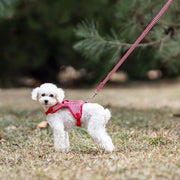 Petora Ham ghiozdănel ajustabil cu lesă pentru căței roșu HC1028