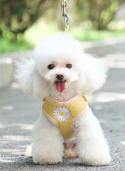 Ham ghiozdănel ajustabil, cu lesă, pentru câini, galben, HC1026