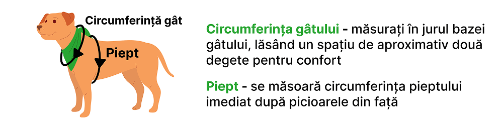 petora.ro - ghid pentru luarea masuratorilor
