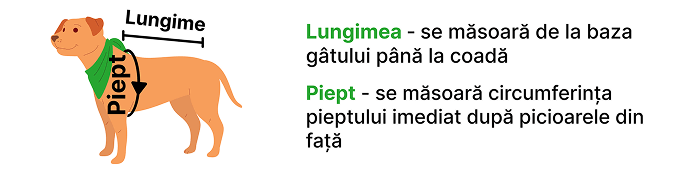 petora.ro - ghid pentru luarea masuratorilor