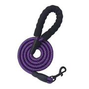 Lesă premium Petora pentru câini, din coardă împletită, cu carabină rapidă, 1,5 m, mov