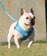 Set Ham tip vestă pentru câini, ajustabil, cu benzi reflectorizante + lesă inclusă