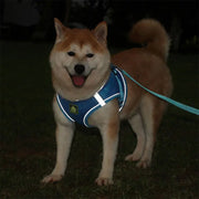 Set Ham tip vestă pentru câini, ajustabil, cu benzi reflectorizante + lesă inclusă