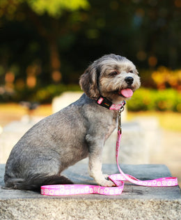 Set zgardă reglabilă cu lesă, pentru câini, roz, ZC1022