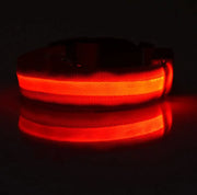 Petora Zgardă LED pentru căței roșie ZC1005