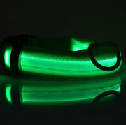 Petora Zgardă LED pentru căței verde ZC1005